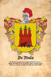 Escudo heráldico del apellido DE MULA