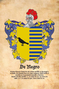 Escudo heráldico del apellido DE NEGRO