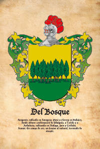 Escudo heráldico del apellido DEL BOSQUE