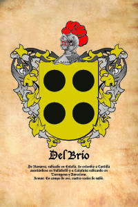 Escudo heráldico del apellido DEL BRÍO
