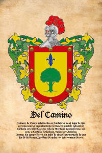 Escudo heráldico del apellido DEL CAMINO