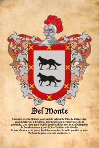Escudo heráldico del apellido DEL MONTE