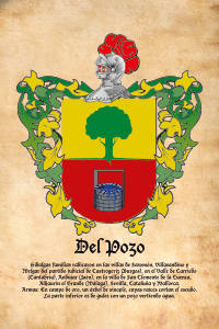 Escudo heráldico del apellido DEL POZO