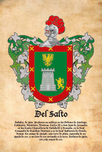 Escudo heráldico del apellido DEL SALTO