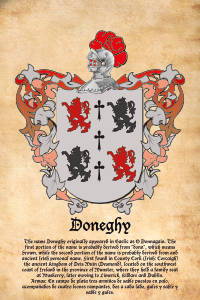 Escudo heráldico del apellido Doneghy