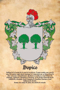 Escudo heráldico del apellido DOPICO