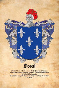 Escudo heráldico del apellido DOSAL