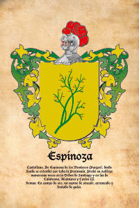 Escudo heráldico del apellido ESPINOZA