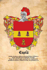Escudo heráldico del apellido ESPLA