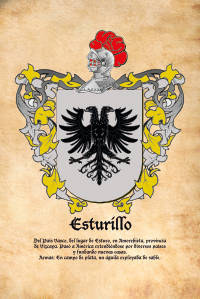 Escudo heráldico del apellido ESTURILLO