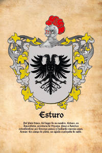 Escudo heráldico del apellido ESTURO