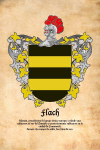 Escudo heráldico del apellido FLACH