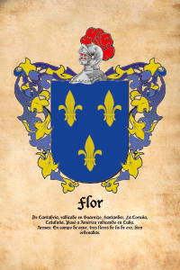 Escudo heráldico del apellido FLOR