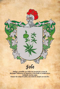 Escudo heráldico del apellido FOLE