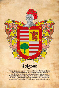 Escudo heráldico del apellido FOLGOSO