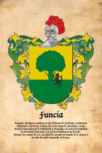 Escudo heráldico del apellido FUNCIA