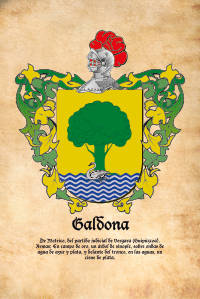 Escudo heráldico del apellido GALDONA
