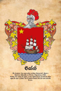 Escudo heráldico del apellido Galeb
