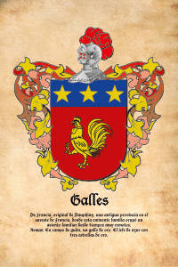 Escudo heráldico del apellido GALLES