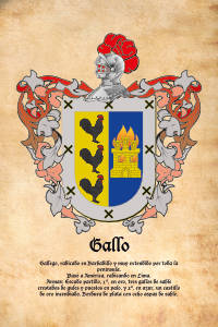 Escudo heráldico del apellido GALLO