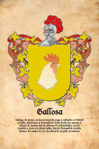 Escudo heráldico del apellido GALLOSA