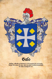 Escudo heráldico del apellido GALO