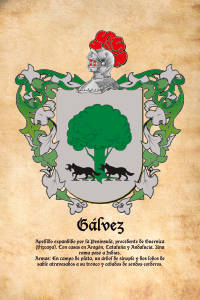 Escudo heráldico del apellido GALVEZ