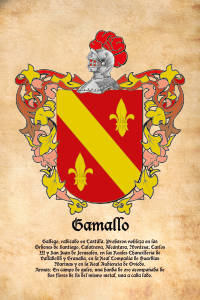 Escudo heráldico del apellido GAMALLO