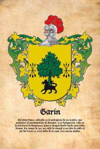 Escudo heráldico del apellido GARIN