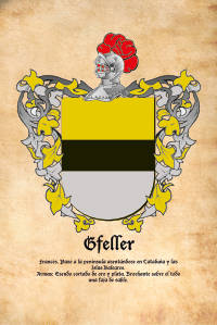Escudo heráldico del apellido GFELLER