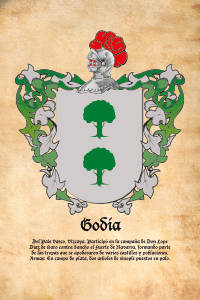 Escudo heráldico del apellido GODIA