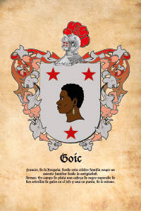 Escudo heráldico del apellido GOIC