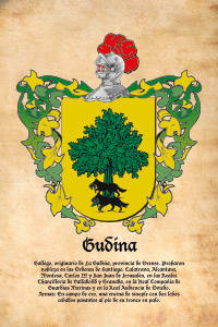 Escudo heráldico del apellido GUDINA