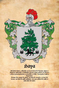 Escudo heráldico del apellido HAYA