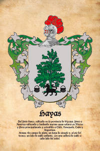 Escudo heráldico del apellido HAYAS