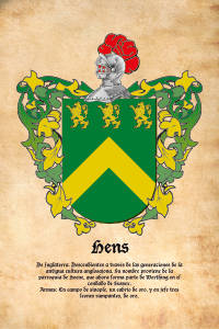 Escudo heráldico del apellido HENS