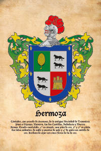 Escudo heráldico del apellido HERMOZA
