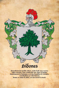Escudo heráldico del apellido HIDONES