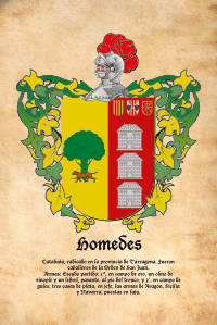 Escudo heráldico del apellido HOMEDES