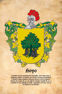 Escudo heráldico del apellido HOYO
