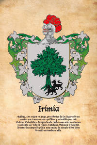 Escudo heráldico del apellido Irimia