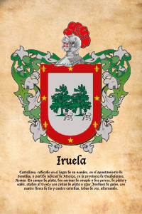 Escudo heráldico del apellido IRUELA