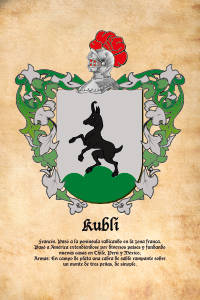 Escudo heráldico del apellido KUBLI