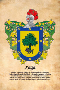 Escudo heráldico del apellido LAGA