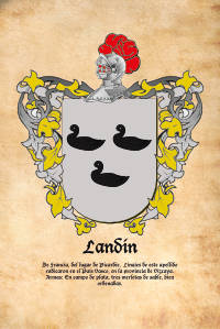 Escudo heráldico del apellido LANDIN