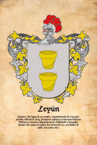 Escudo heráldico del apellido LEYUN
