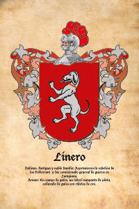 Escudo heráldico del apellido LINERO