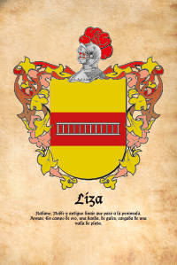 Escudo heráldico del apellido LIZA