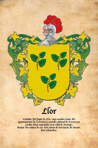 Escudo heráldico del apellido LLOR