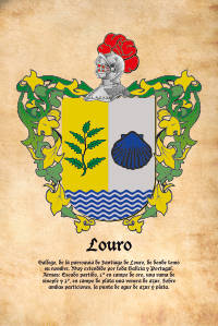 Escudo heráldico del apellido LOURO